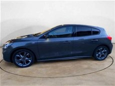 Ford Focus 1.5 EcoBlue 120 CV 5p. Active del 2020 usata a Caresanablot