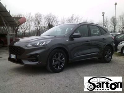 Ford Kuga 1.5 TDCI 120 CV S&S 2WD ST-Line my 16 usato