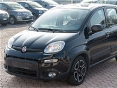 Fiat Panda 1.0 FireFly S&S Hybrid City Cross del 2022 usata a Rivoli