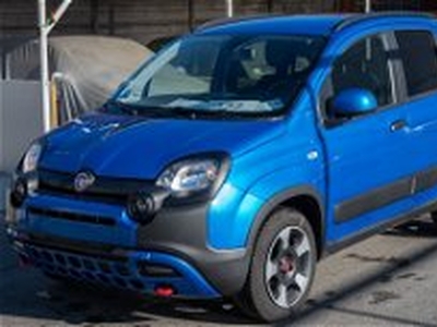 Fiat Panda 1.0 FireFly S&S Hybrid City Cross del 2023 usata a Rivoli