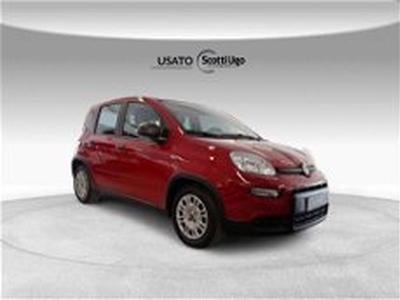 Fiat Panda 1.0 firefly hybrid s&s 70cv 5p.ti del 2024 usata a Siena