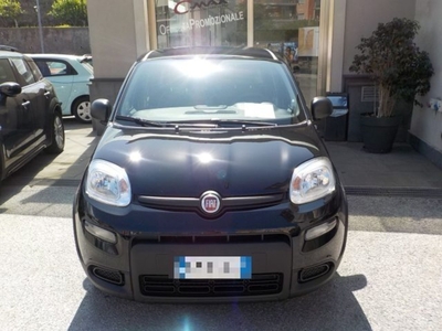 Fiat Panda 1.0 FireFly S&S Hybrid nuovo