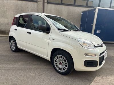 Fiat Panda 1.2 EasyPower Easy usato