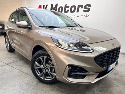 Ford Kuga 2.0 EcoBlue 190 CV aut. AWD ST-Line X usato