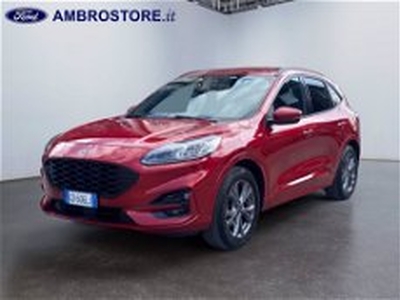 Ford Kuga Kuga 1.5 ecoboost ST-Line X 2wd 150cv del 2020 usata a Milano