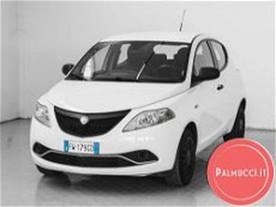 Lancia Ypsilon 1.2 69 CV 5 porte S&S Elefantino Blu del 2019 usata a Prato