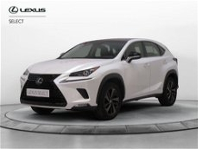 Lexus NX Hybrid 4WD Sport del 2018 usata a Sesto Fiorentino