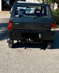 Usato 1996 Fiat Panda 4x4 1.1 LPG_Hybrid 54 CV (5.000 €)