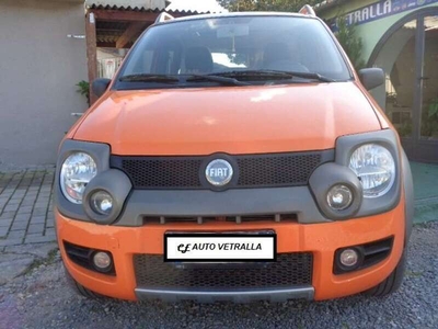 Usato 2006 Fiat Panda Cross Diesel 69 CV (7.500 €)