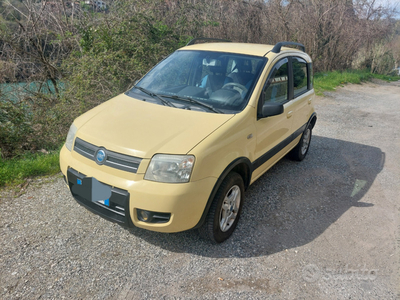Usato 2007 Fiat Panda 4x4 1.2 Diesel 69 CV (6.500 €)