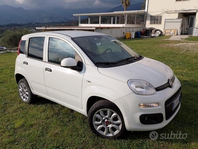 Usato 2016 Fiat Panda 1.2 CNG_Hybrid 60 CV (7.600 €)