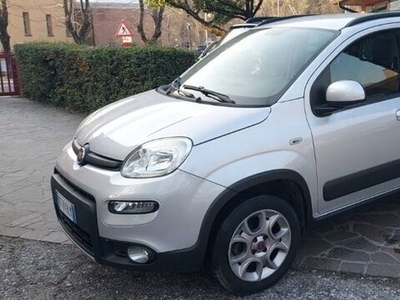 Usato 2016 Fiat Panda 4x4 0.9 Benzin 86 CV (13.000 €)