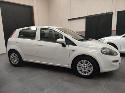 Usato 2017 Fiat Punto Evo 1.2 Diesel 95 CV (7.999 €)