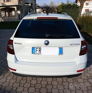 Usato 2018 Skoda Octavia 1.6 Diesel 116 CV (14.200 €)