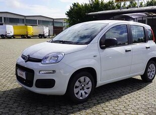 FIAT New Panda 1.2 Easy solo Km 41.000 adatta a