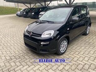 Fiat Panda 1.0