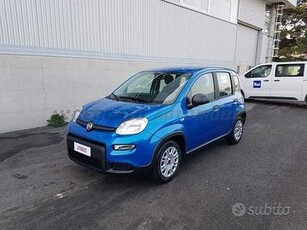 FIAT Panda My24 1.0 70cv Hybrid