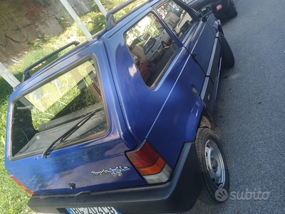 Usato 1989 Fiat Panda 4x4 1.0 Benzin 50 CV (4.850 €)