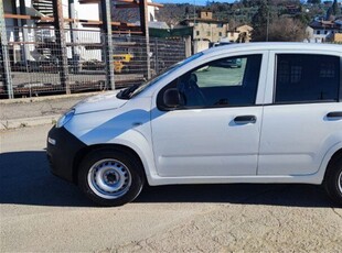 Fiat Panda 1.3 MJT 4x4 Pop Van 2 posti usato