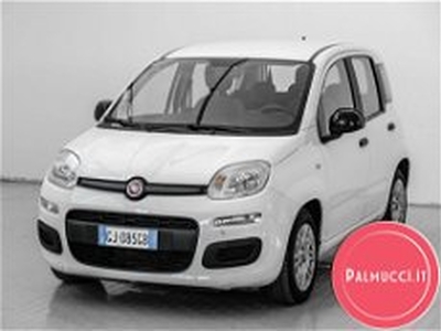 Fiat Panda 1.0 FireFly S&S Hybrid Easy del 2022 usata a Prato