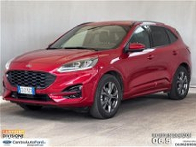 Ford Kuga Kuga 1.5 ecoboost ST-Line X 2wd 150cv del 2020 usata a Albano Laziale