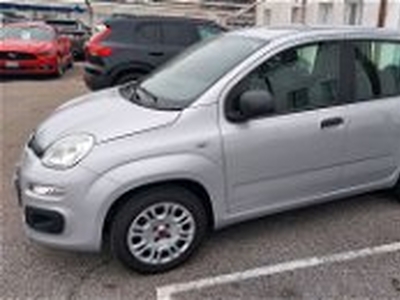 Fiat Panda 1.2 Easy del 2017 usata a Veggiano