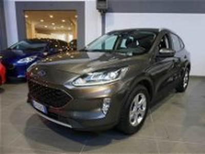 Ford Kuga 1.5 EcoBoost 120 CV 2WD Titanium del 2020 usata a Bologna