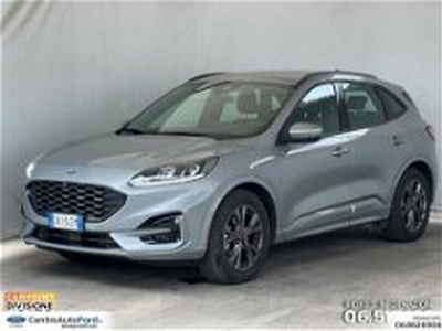 Ford Kuga Kuga 1.5 ecoboost ST-Line 2wd 150cv del 2023 usata a Albano Laziale