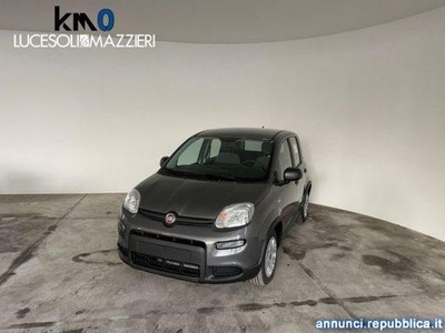 Fiat Panda 1.0 FireFly S&S Hybrid Ancona