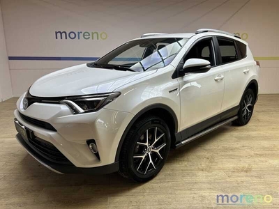 Toyota RAV4 2.5 vvt-i ECVT Hybrid Style 4WD