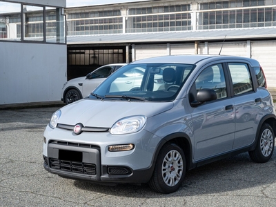 Fiat Panda 1.0 FireFly S&S Hybrid City Cross my 20 usato