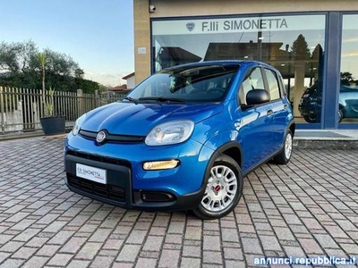 Fiat Panda 1.0 FireFly S&S Hybrid - KM0 Cadrezzate