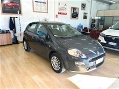 Fiat Punto 1.2 8V 5 porte Street my 13 del 2016 usata a Bari