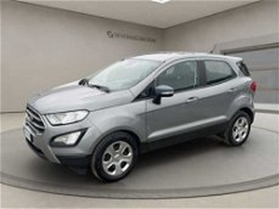 Ford EcoSport 1.5 Ecoblue 95 CV Start&Stop del 2021 usata a Reggio nell'Emilia