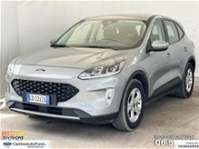 Ford Kuga 1.5 EcoBlue 120 CV 2WD Titanium del 2020 usata a Albano Laziale