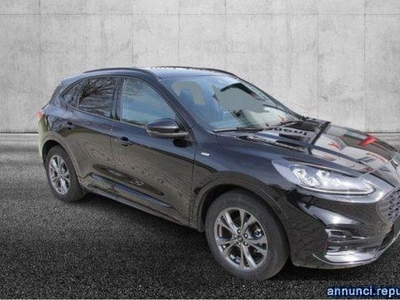 Ford Kuga 1.5 EcoBlue 120 CV aut. 2WD ST-Line X Pieve di Cento