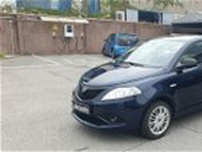 Lancia Ypsilon 1.2 69 CV 5 porte Elefantino my 14 del 2019 usata a Lainate