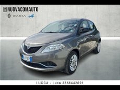 Lancia Ypsilon 1.2 69 CV 5 porte Gold del 2017 usata a Sesto Fiorentino