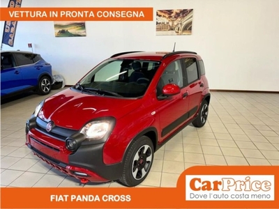 Fiat Panda 1.0