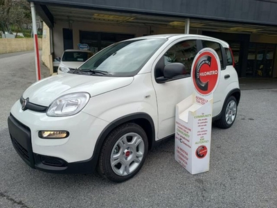 Fiat Panda 1.0 FireFly S&S Hybrid City Life nuovo