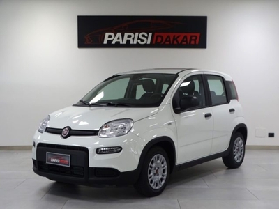 Fiat Panda 1.0 FireFly S&S Hybrid nuovo