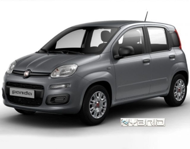 Fiat Panda 1.0 FireFly S&S Hybrid nuovo