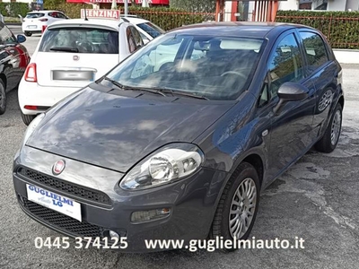 Fiat Punto 1.2 8V 5 porte Street usato