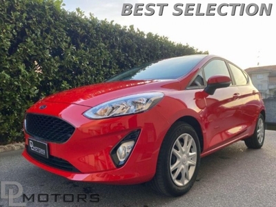 Ford Fiesta 1.1 85 CV 5 porte Business usato