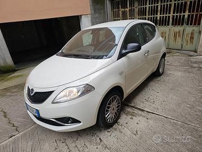 Lancia Ypsilon III 1.2 Silver 69cv 2016-10 mila km