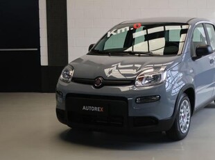 2023 FIAT Panda