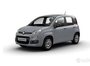 FIAT Panda 1.0 firefly hybrid Cross s&s 70cv 5p.ti