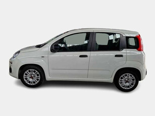 Fiat Panda Ibrida Usata