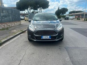 Ford Fiesta Plus 1.4 5 porte Bz.- GPL Black and wh
