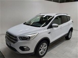 Ford Kuga 1.5 TDCI 120 CV S&S 2WD Business del 2019 usata a Cuneo